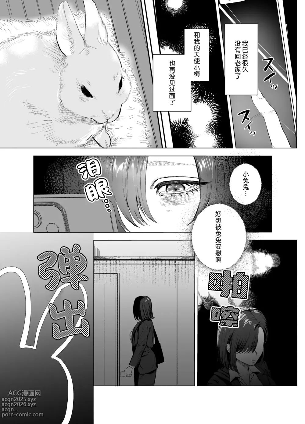 Page 4 of doujinshi 一不小心就落入了兔子们的巢穴