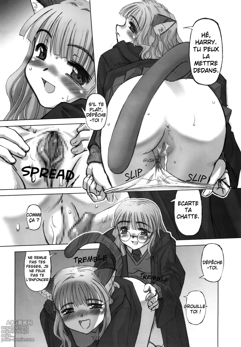 Page 11 of doujinshi ILH - I Love Hermione