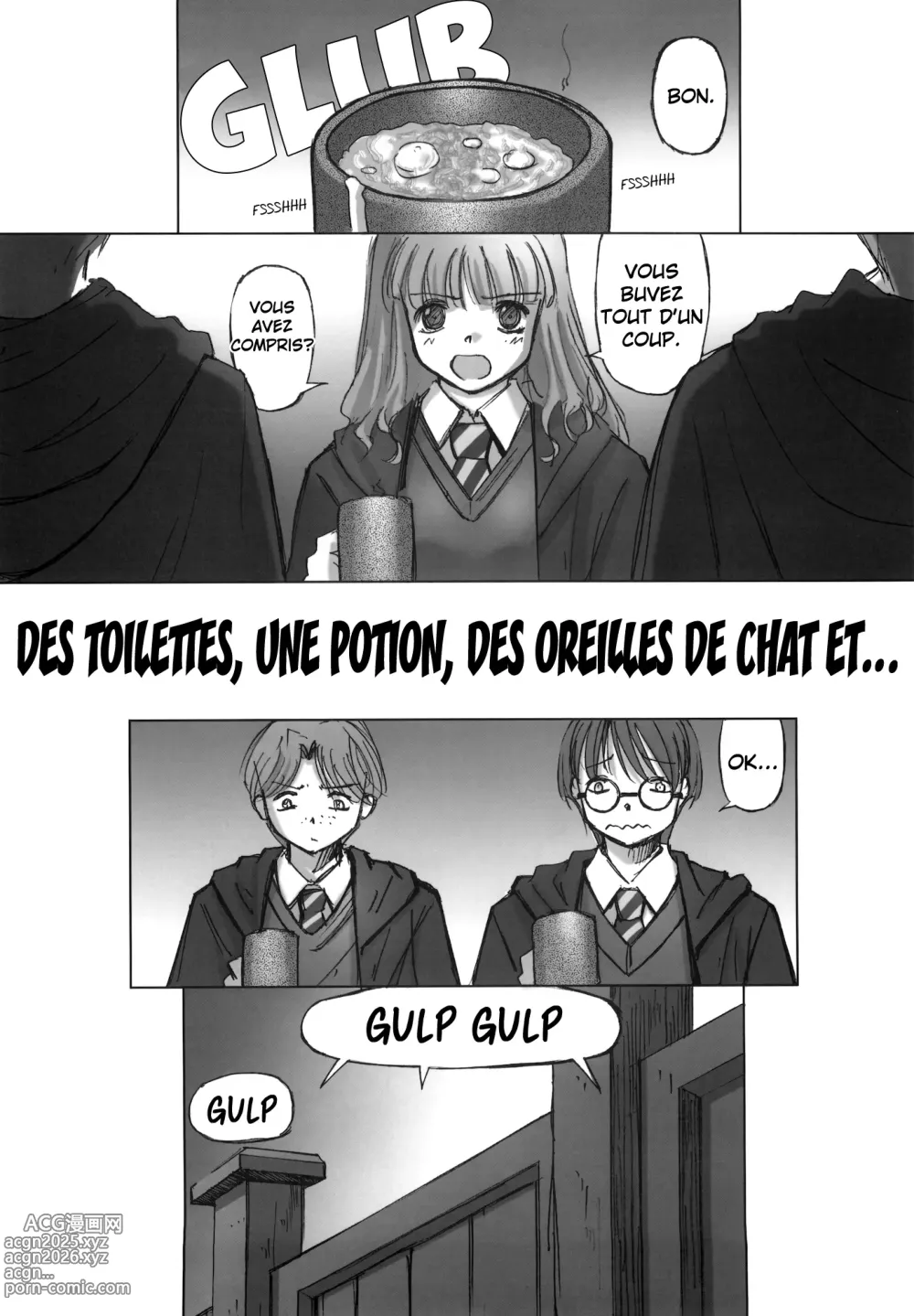 Page 4 of doujinshi ILH - I Love Hermione