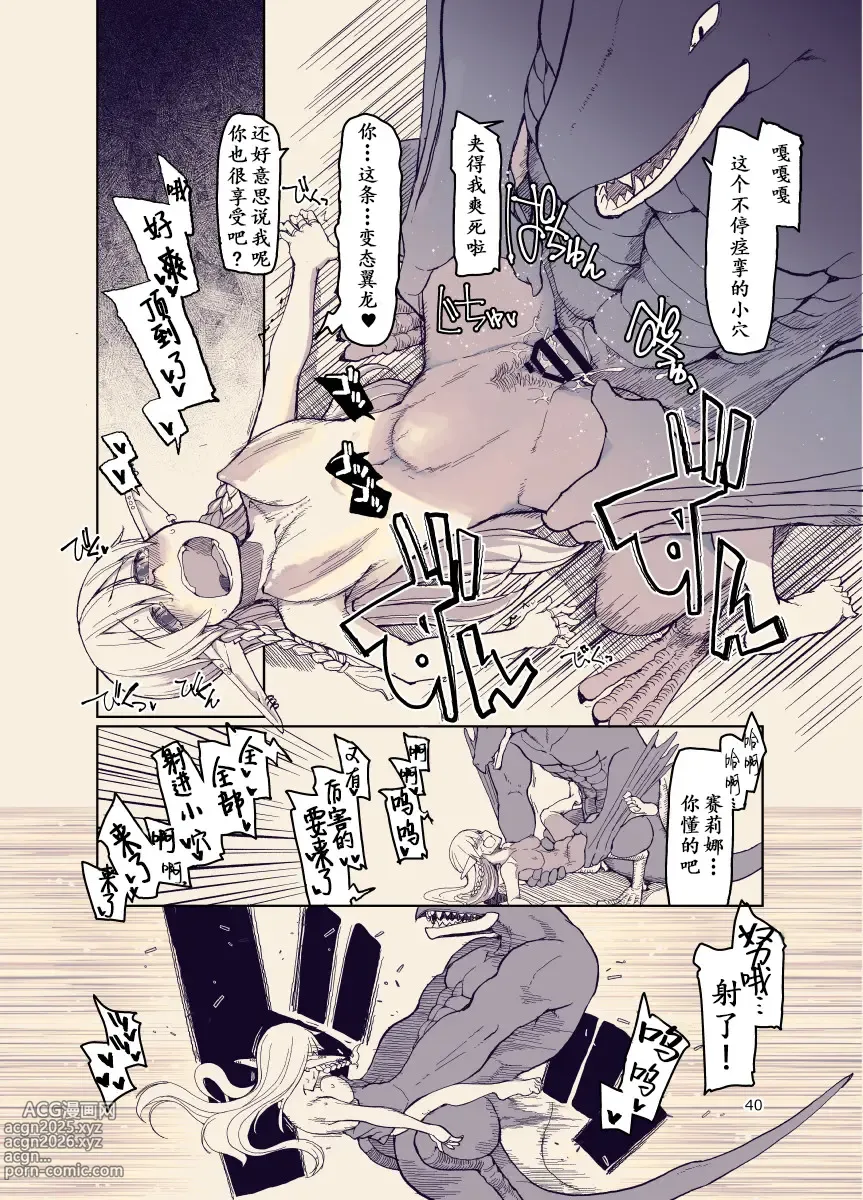 Page 39 of doujinshi Dosukebe Elf no Ishukan Nikki 12