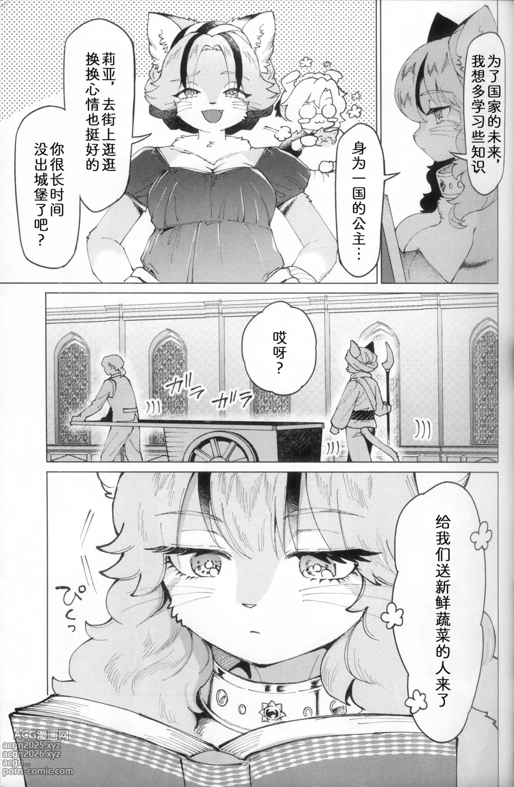 Page 5 of doujinshi 梦中幻境