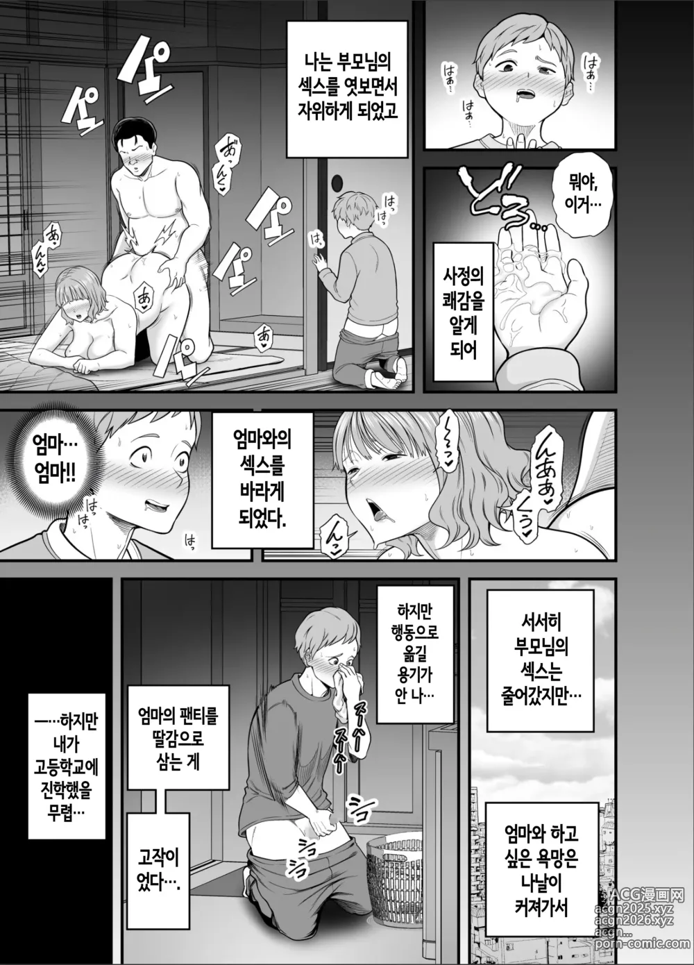 Page 4 of doujinshi 이제 나만의 여자가 아닌 엄마