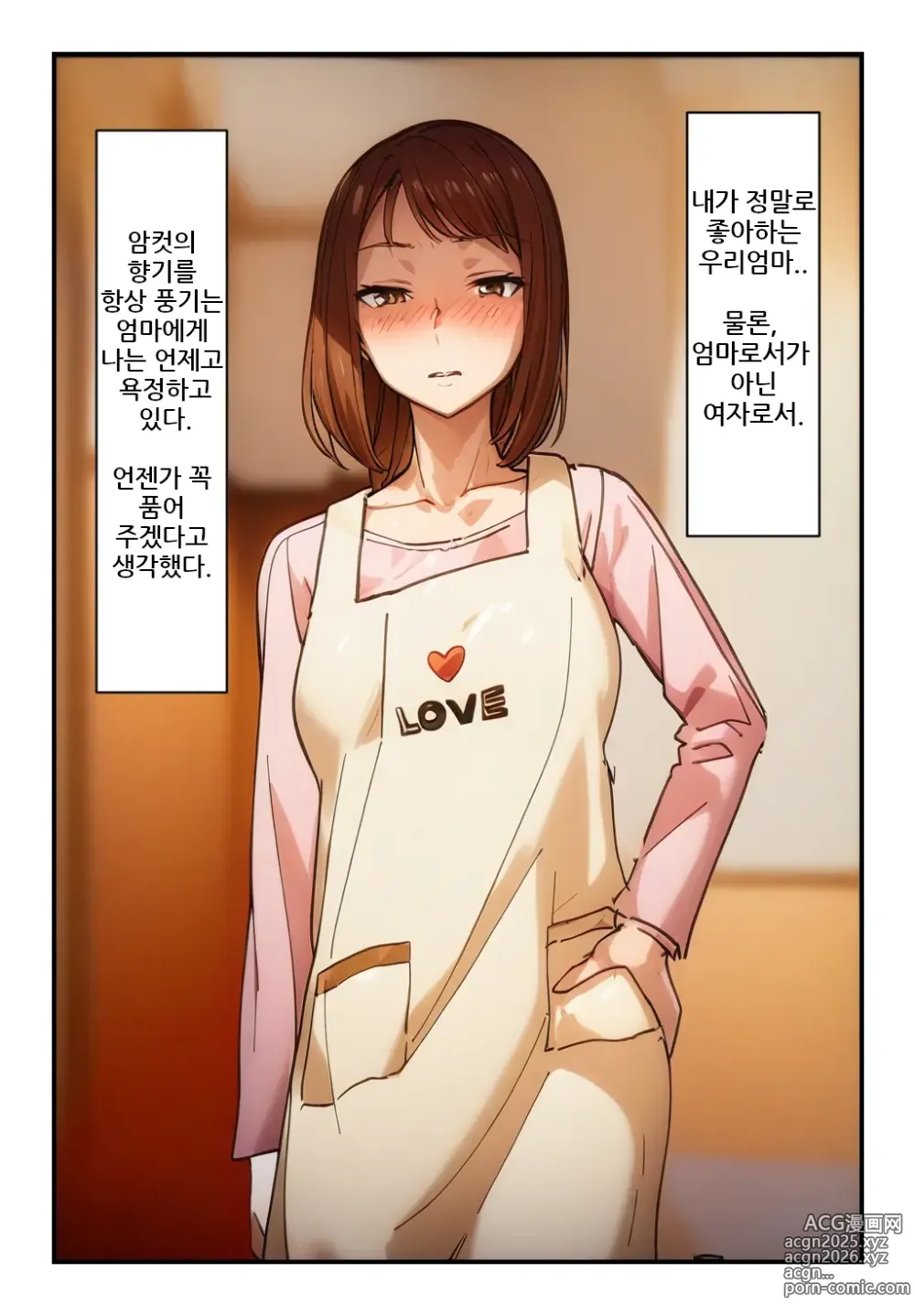 Page 3 of doujinshi 엄마를 향한 성욕이 멈추지 않아!