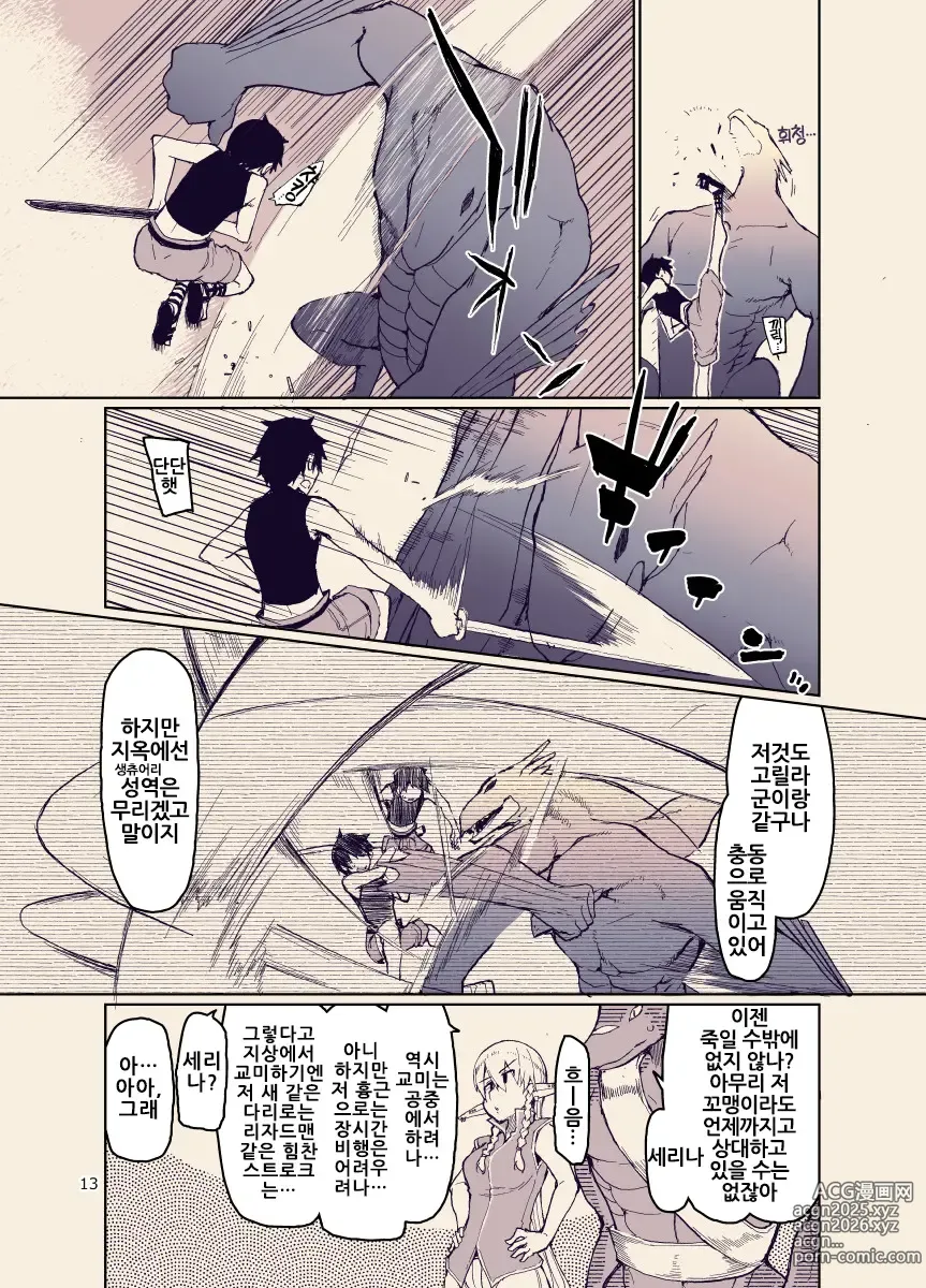 Page 13 of doujinshi 개변태 엘프의 이종간 일기 12