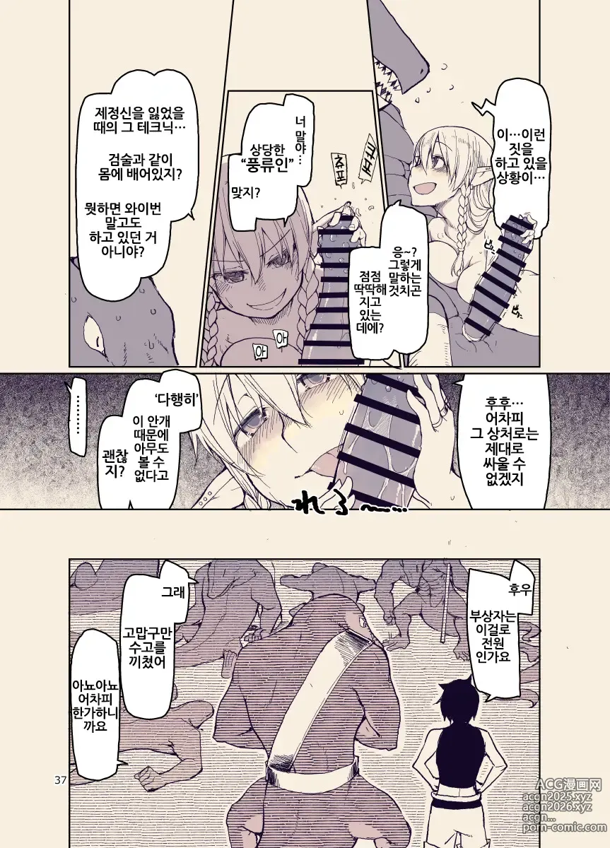 Page 37 of doujinshi 개변태 엘프의 이종간 일기 12