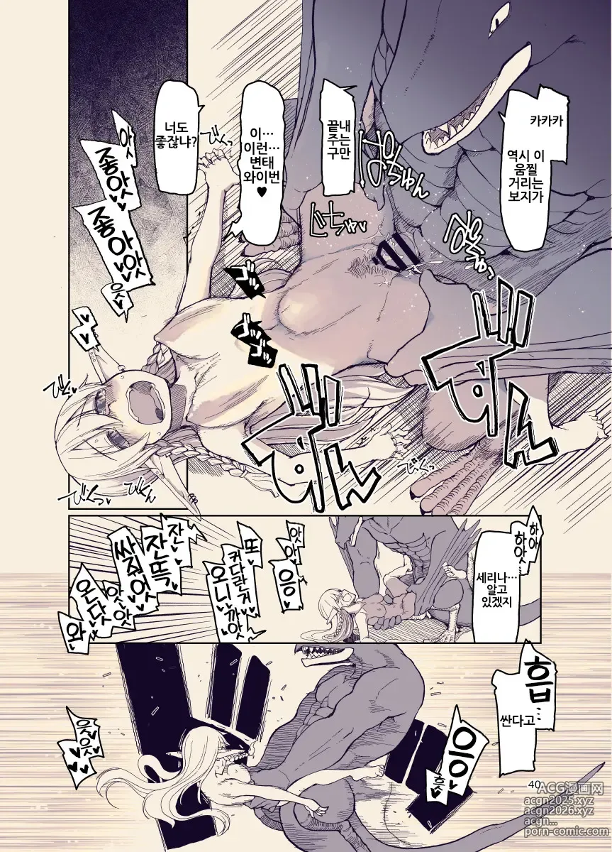 Page 40 of doujinshi 개변태 엘프의 이종간 일기 12