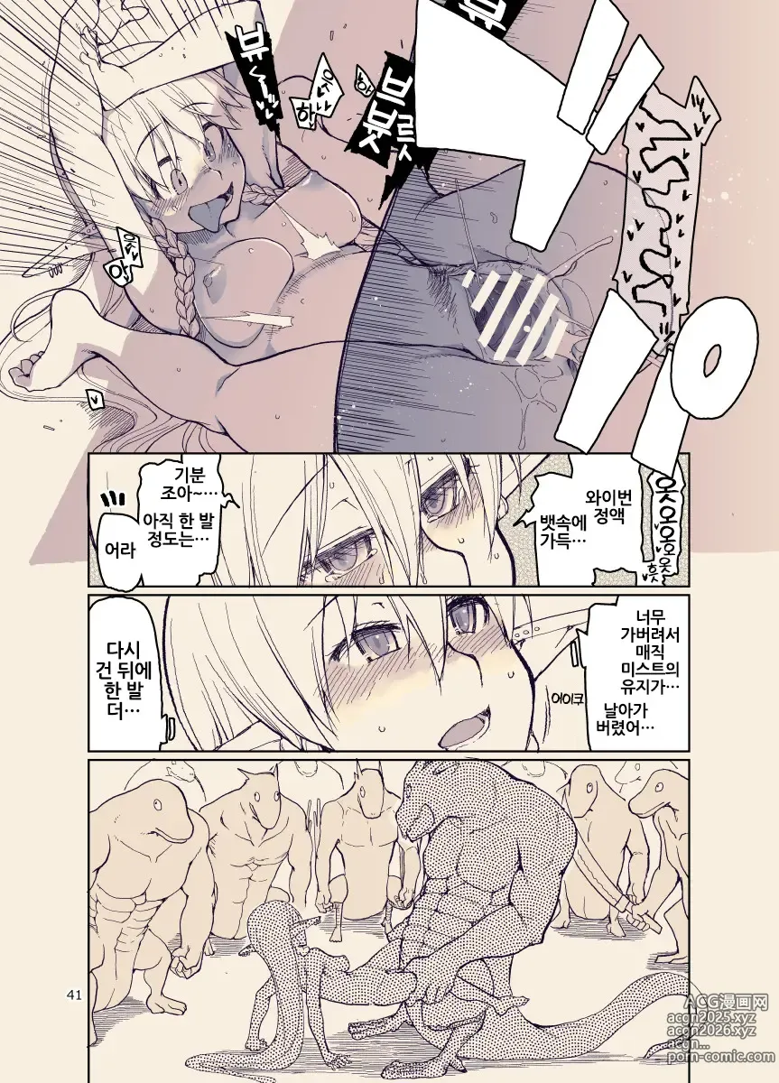 Page 41 of doujinshi 개변태 엘프의 이종간 일기 12