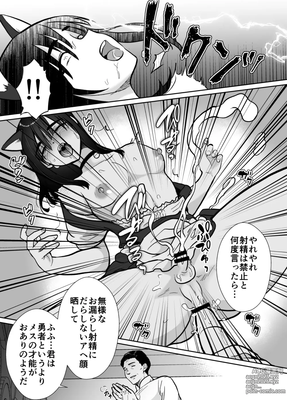 Page 28 of doujinshi Mesu Ochi Yuusha-sama