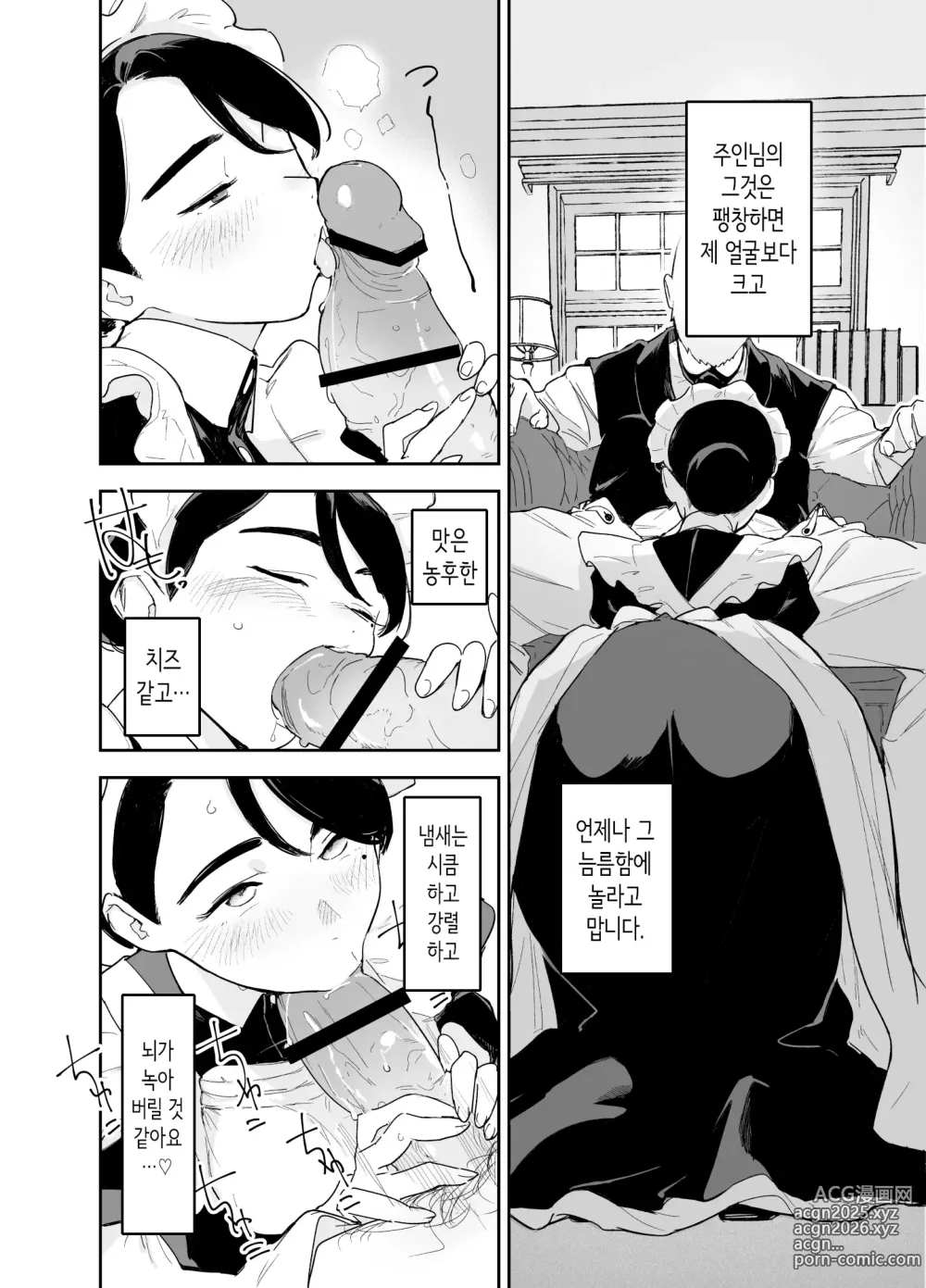 Page 11 of doujinshi 우리 집의 하우스 메이드 브리짓 성의 봉사 ~난로 청소에서 아기 만들기까지~