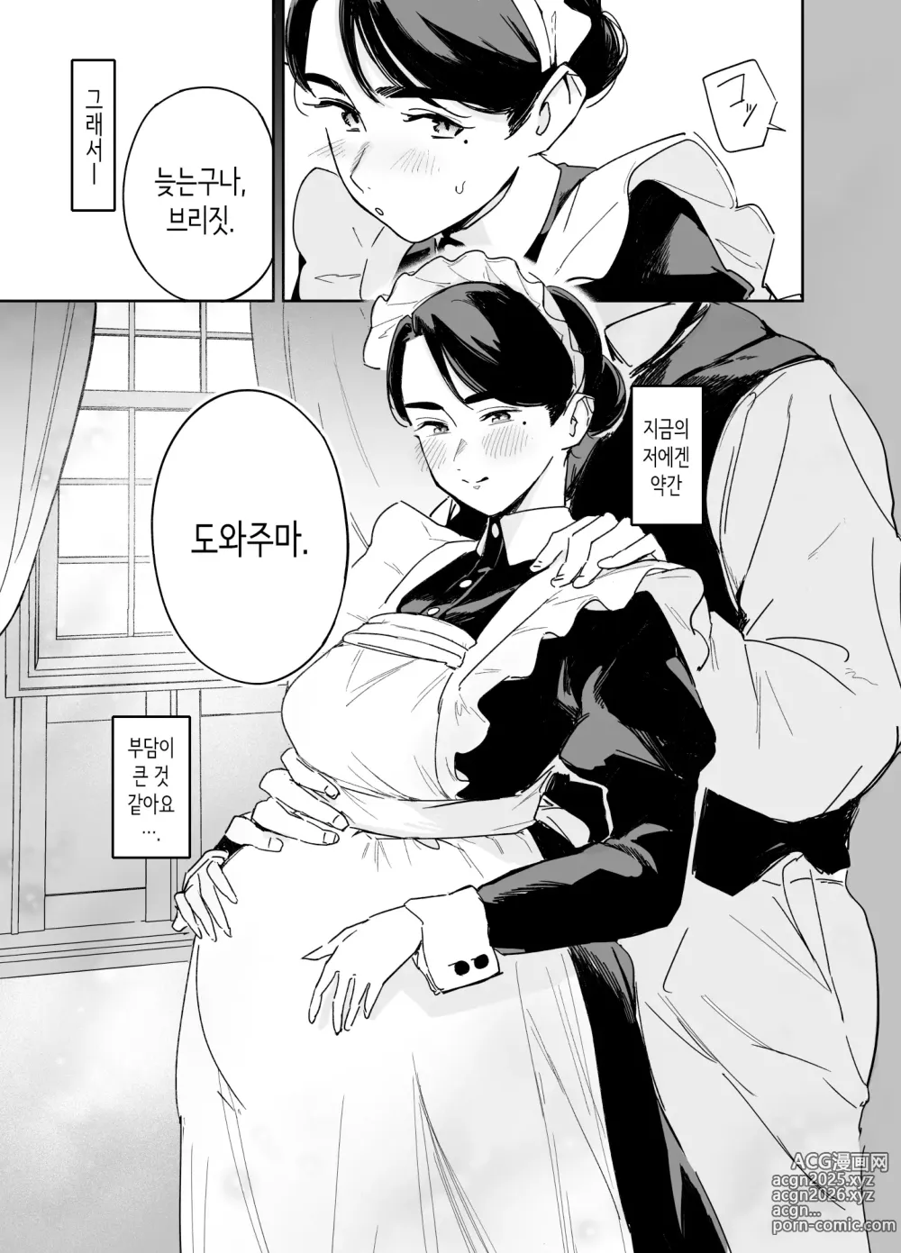 Page 28 of doujinshi 우리 집의 하우스 메이드 브리짓 성의 봉사 ~난로 청소에서 아기 만들기까지~