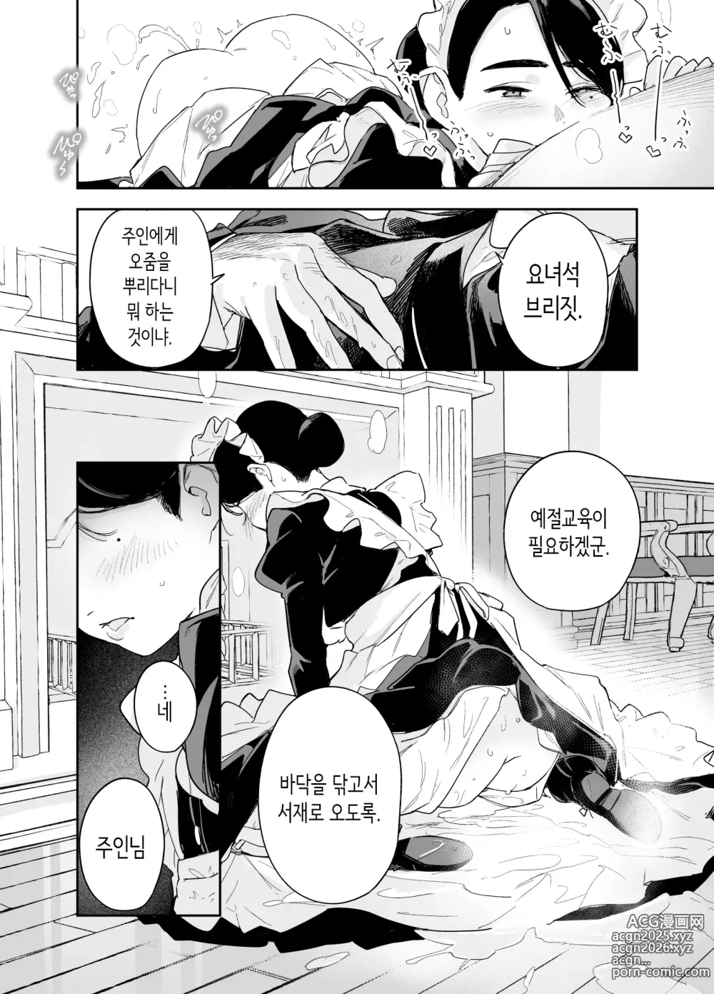 Page 9 of doujinshi 우리 집의 하우스 메이드 브리짓 성의 봉사 ~난로 청소에서 아기 만들기까지~