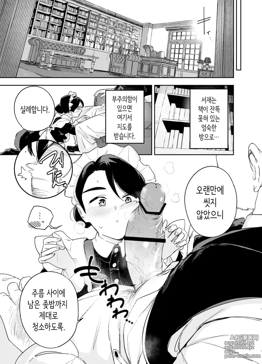 Page 10 of doujinshi 우리 집의 하우스 메이드 브리짓 성의 봉사 ~난로 청소에서 아기 만들기까지~