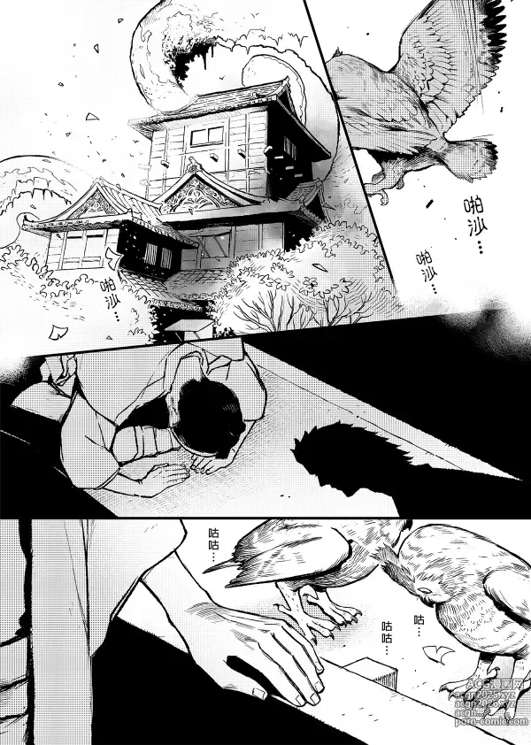 Page 9 of doujinshi 【Not Peace(小哈哈）】参千萬兩的新嫁娘：貳-浪人索隆與忍者香吉