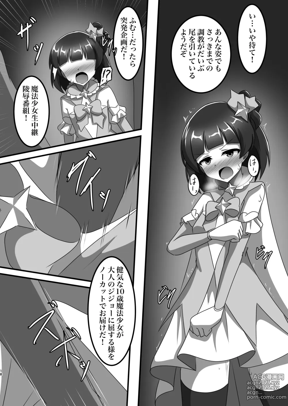 Page 17 of doujinshi Mahou Shoujo → Gyoukai Pet