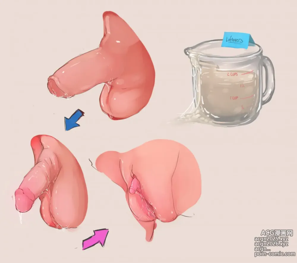 Page 1 of imageset Anatomically Correct TG/TSF Genital Transformations