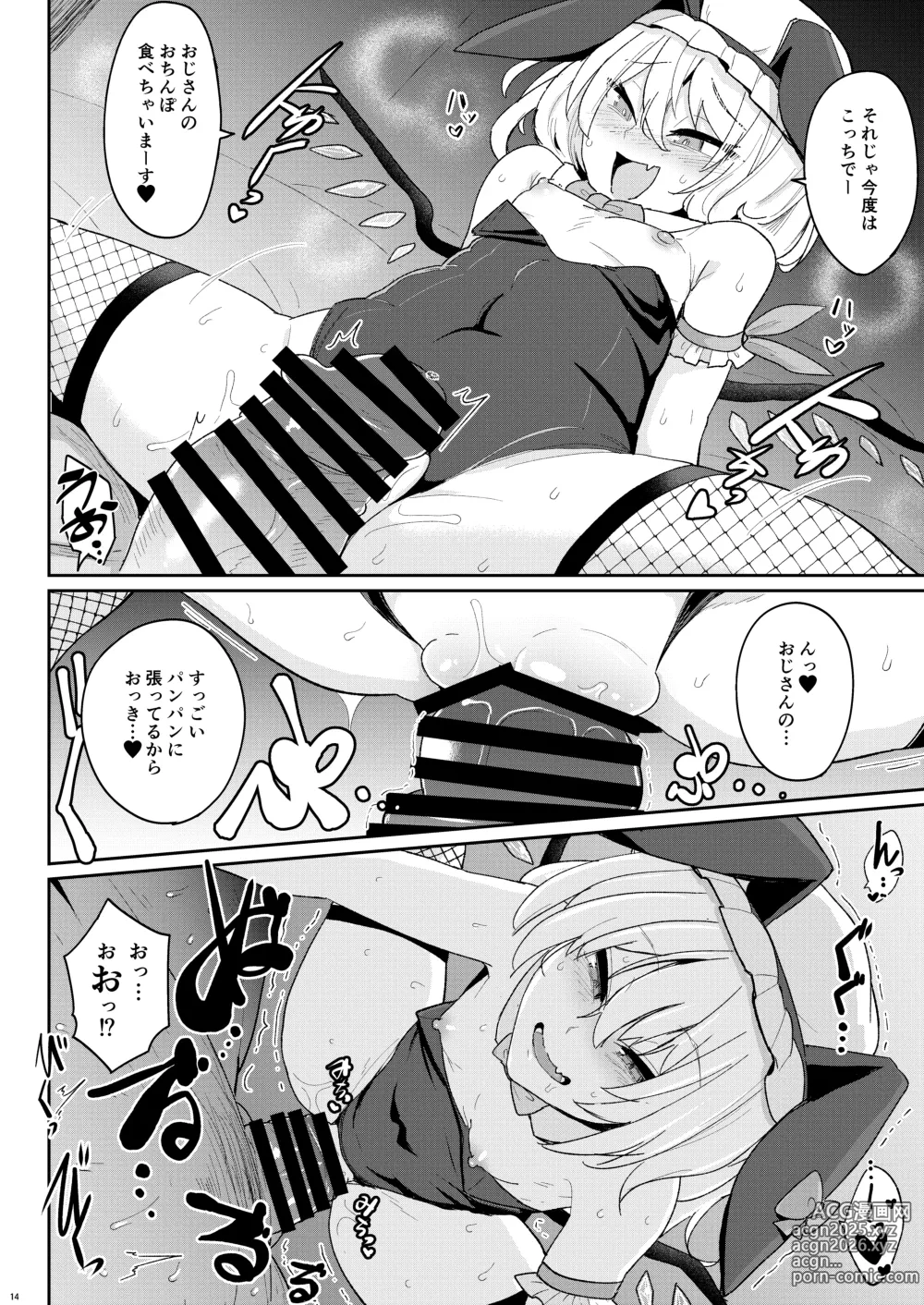 Page 13 of doujinshi MSGKWR -ScarletBunny-