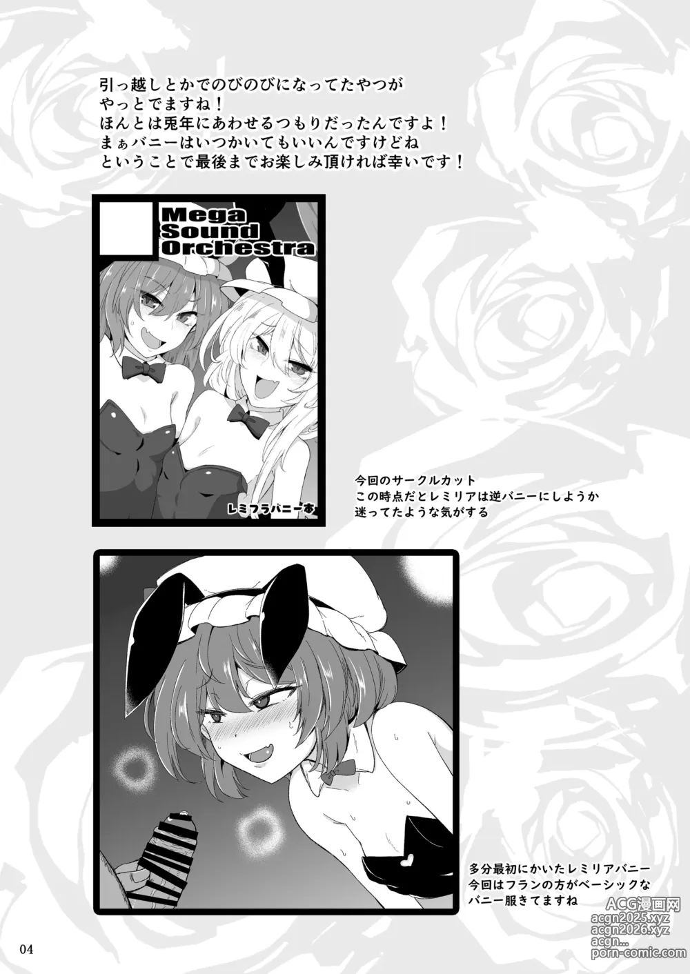 Page 3 of doujinshi MSGKWR -ScarletBunny-