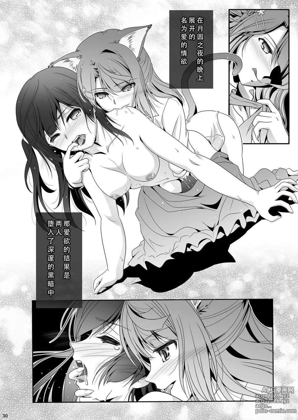 Page 29 of doujinshi 心怀梦想与憧憬 去遇见新的梦