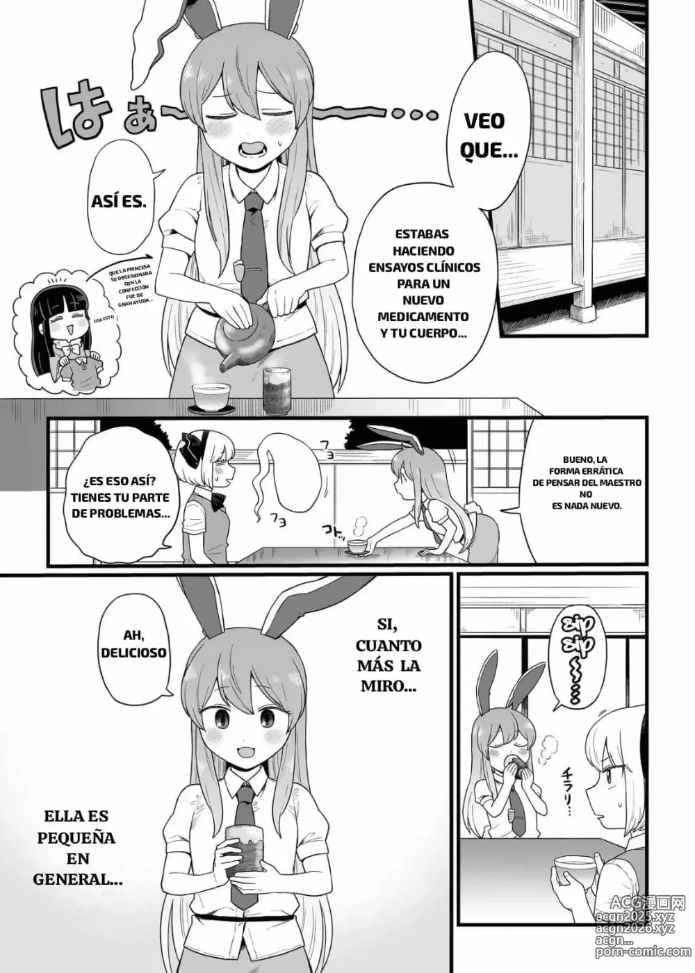 Page 3 of doujinshi Reisen chan no hanashi