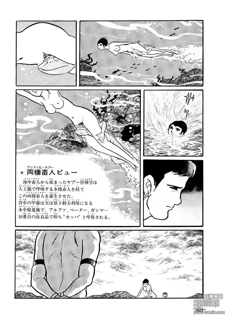 Page 207 of doujinshi GekIga Yapoo Koufuku 1