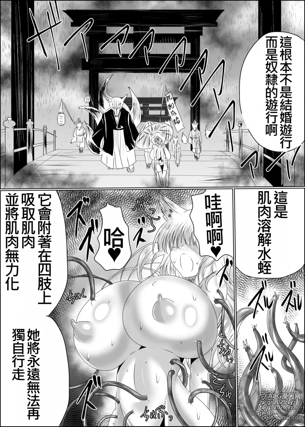 Page 5 of doujinshi Yomeochi Kyuubi -Kitsune no Yomeochi-