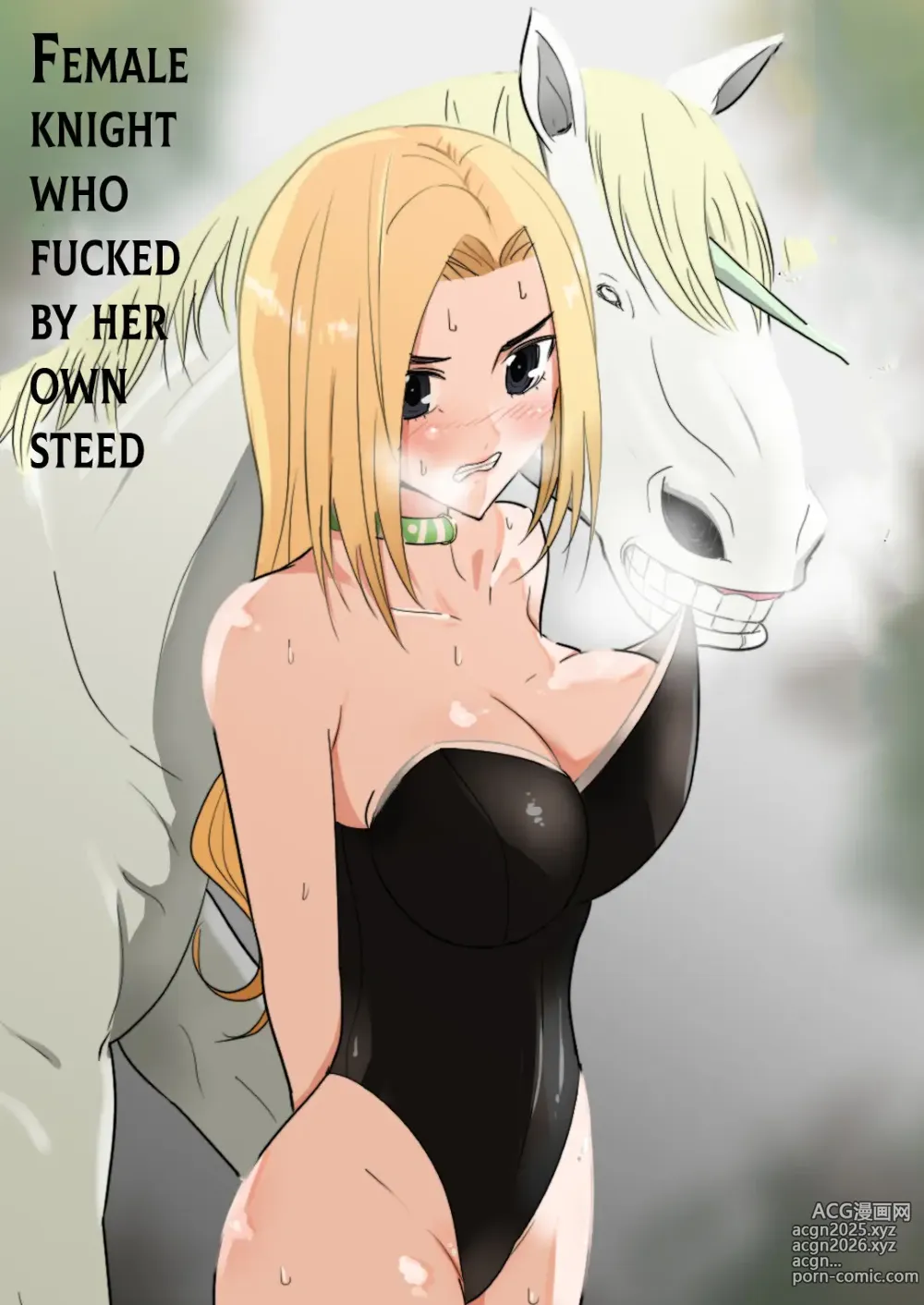 Page 1 of doujinshi Female knight who fucked by her own steed