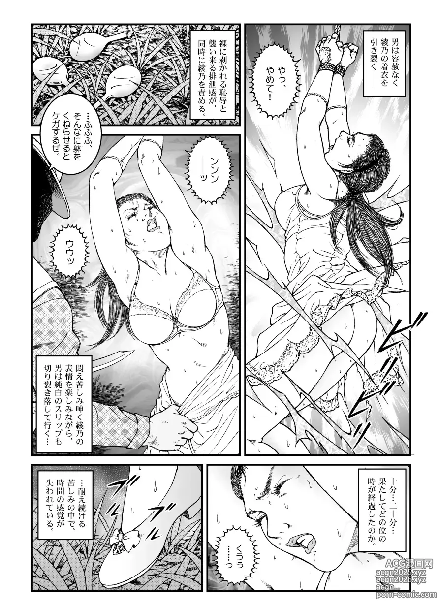 Page 14 of doujinshi 欲望回帰第500章-昭和猟奇譚女犯仕置人哲夫【5】社長令嬢_被虐のバカンス_カージャックレイプ編-