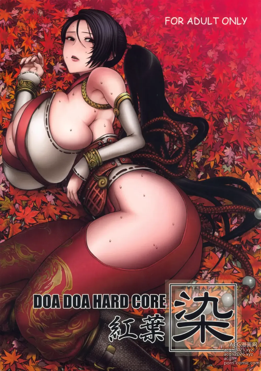 Page 1 of doujinshi DOA DOA HARD CORE Momijizome