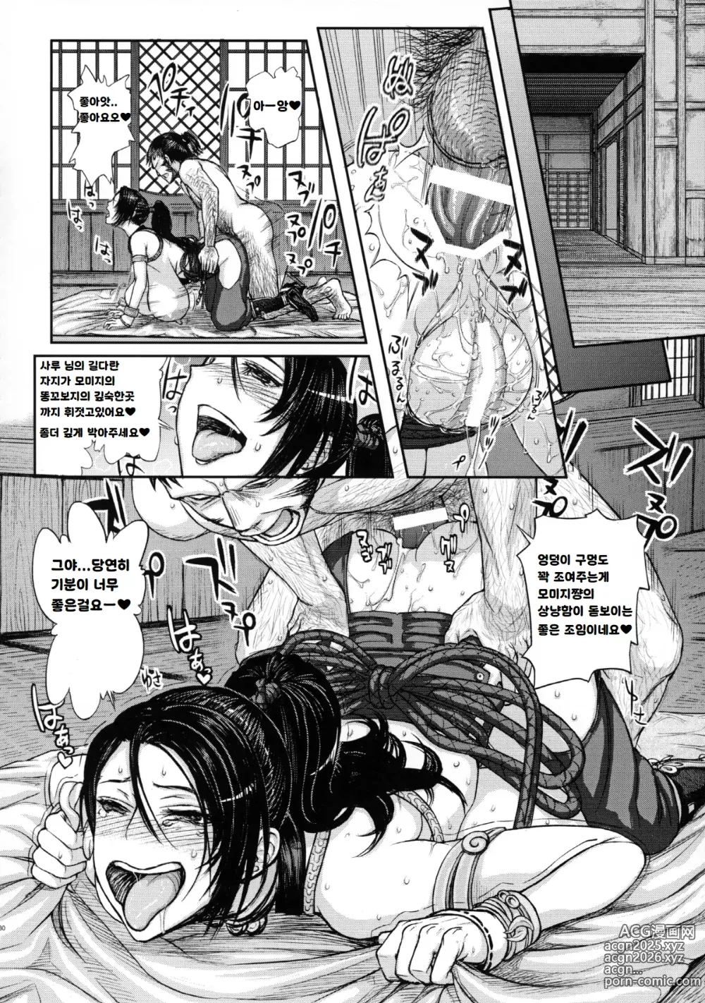 Page 29 of doujinshi DOA DOA HARD CORE Momijizome