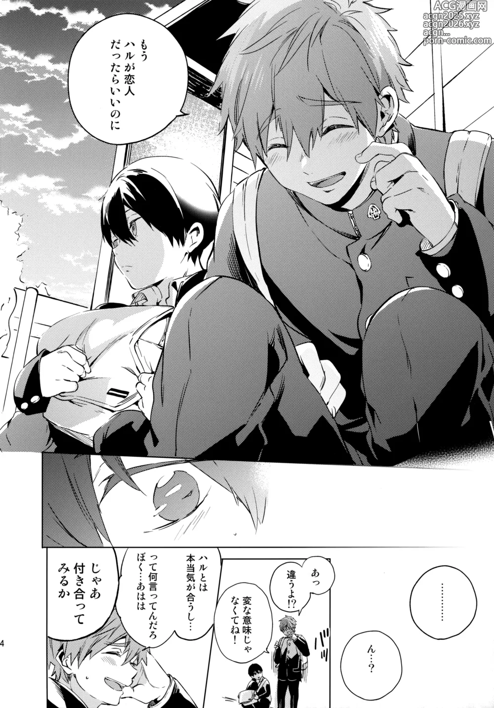 Page 13 of doujinshi Koibito Gokko