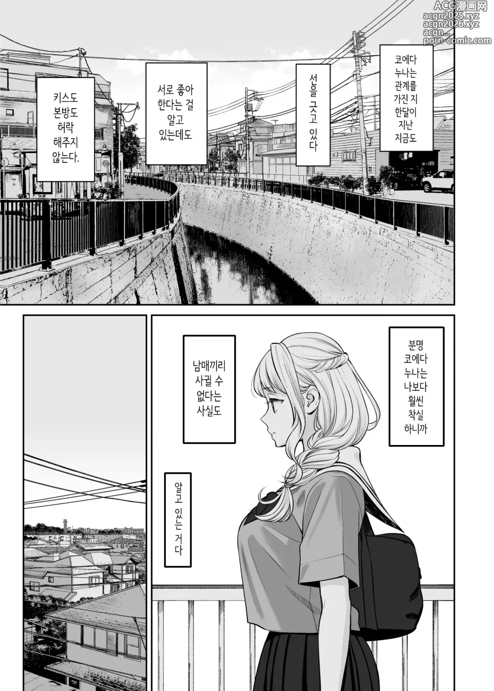 Page 21 of doujinshi 남매 이외가 될 수 있다면