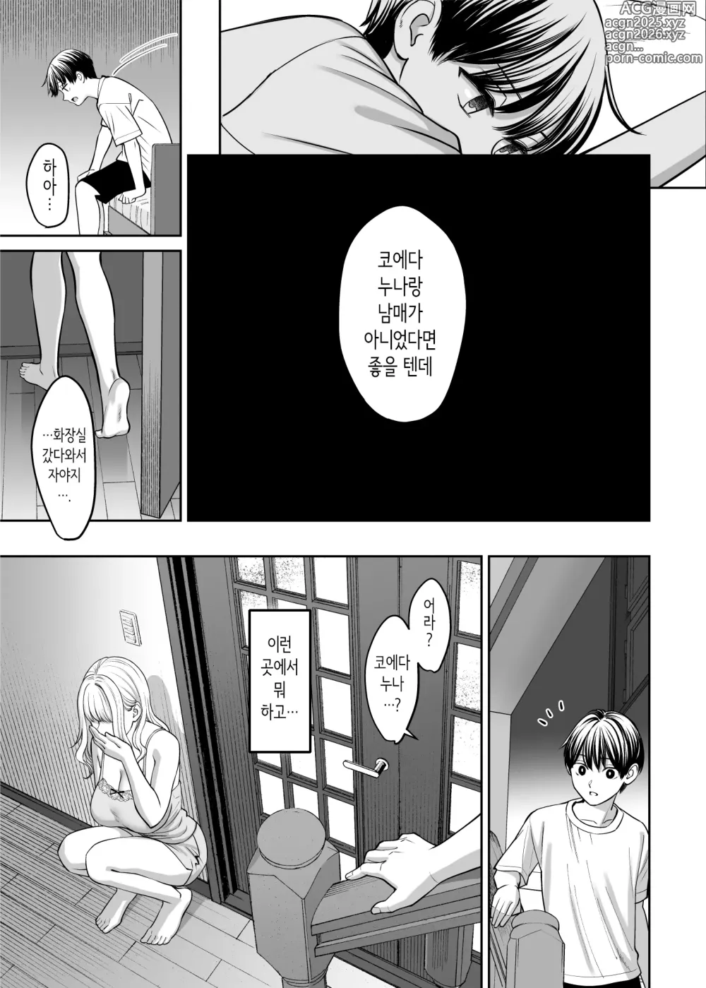 Page 25 of doujinshi 남매 이외가 될 수 있다면