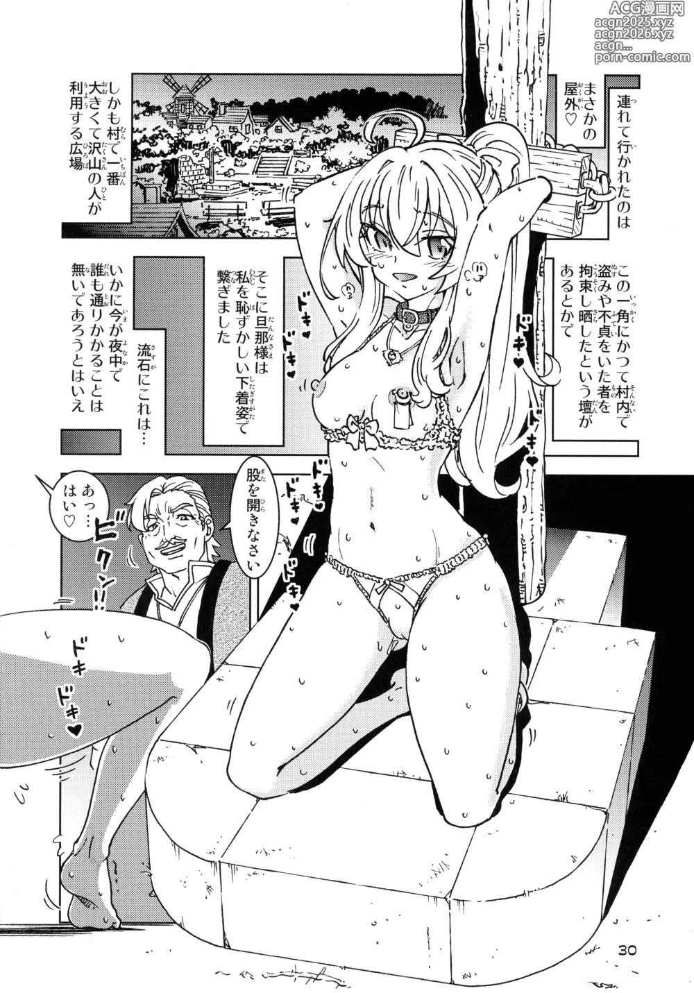 Page 30 of doujinshi Tabitabi Nikki ni wa Shirusenakatta Koto. 5