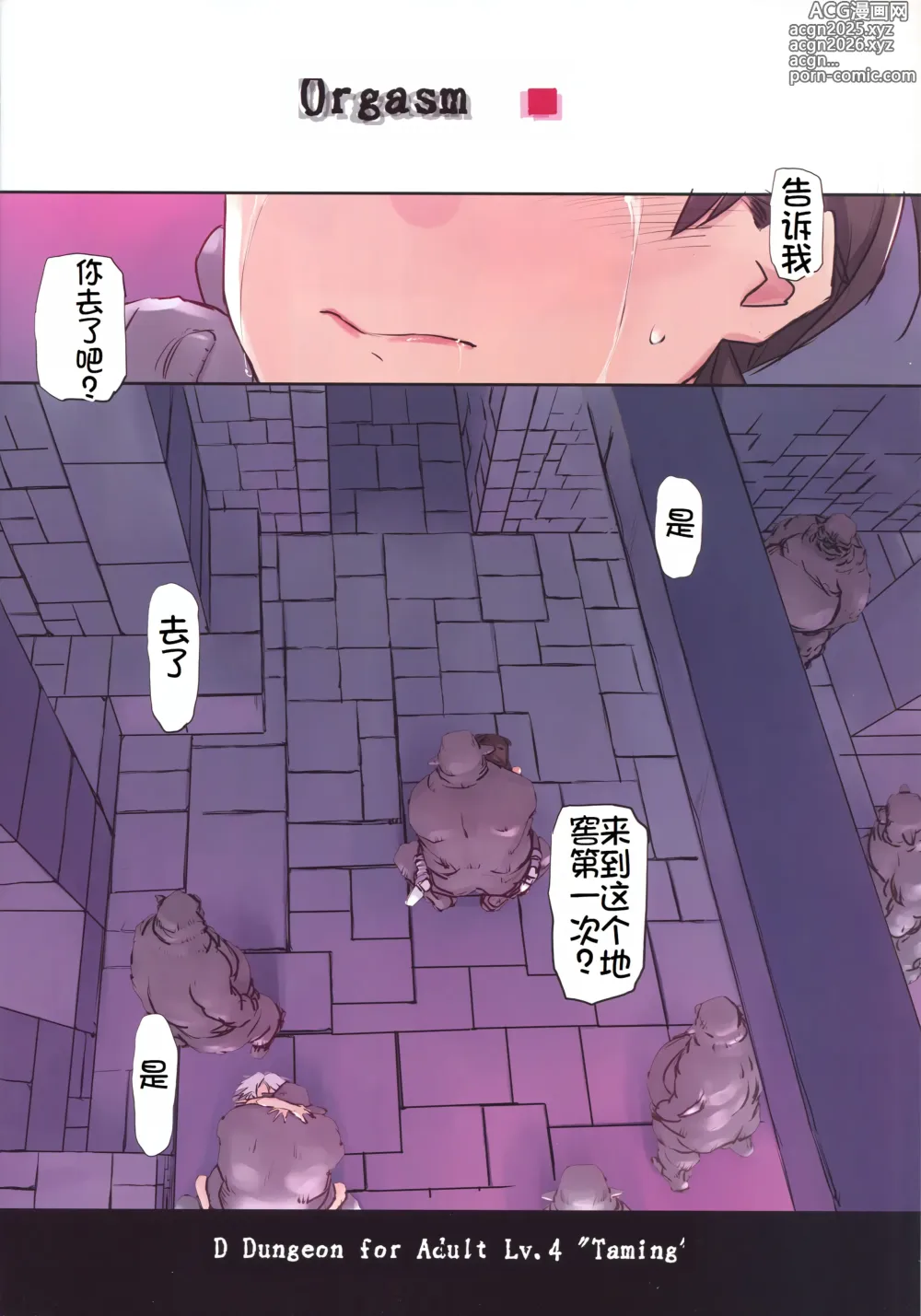 Page 4 of doujinshi D Dungeon for Adult Lv.4