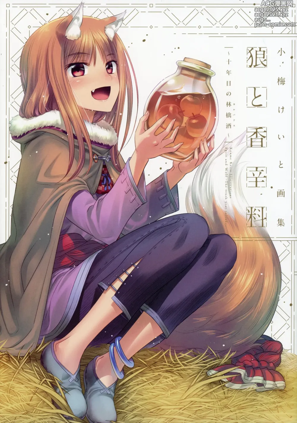 Page 9 of imageset spice and wolf