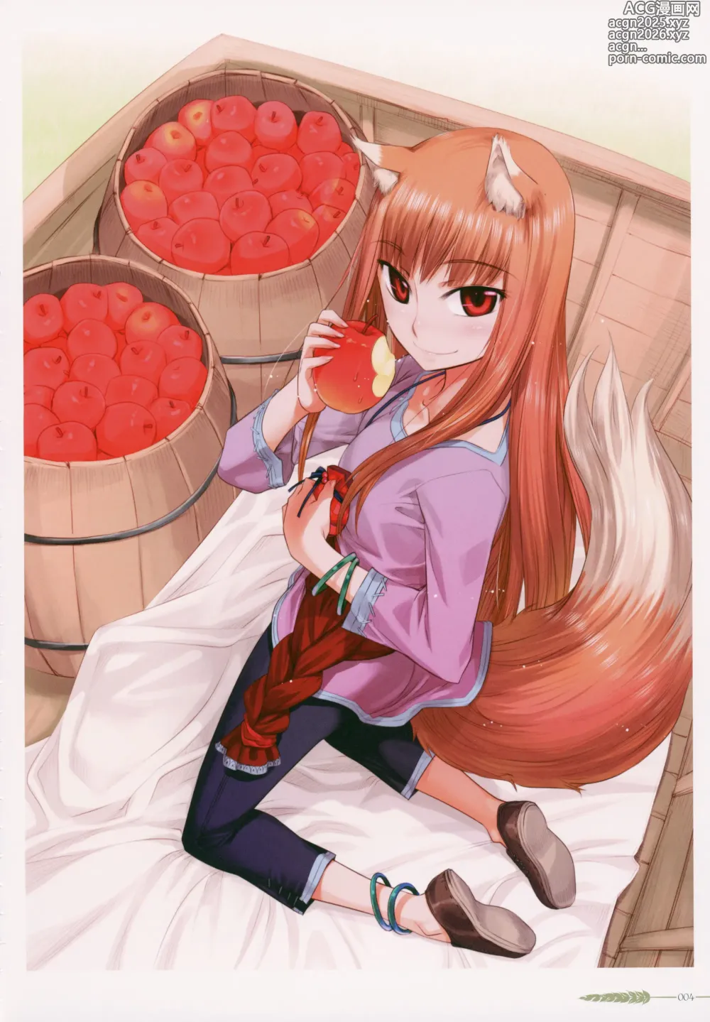 Page 10 of imageset spice and wolf