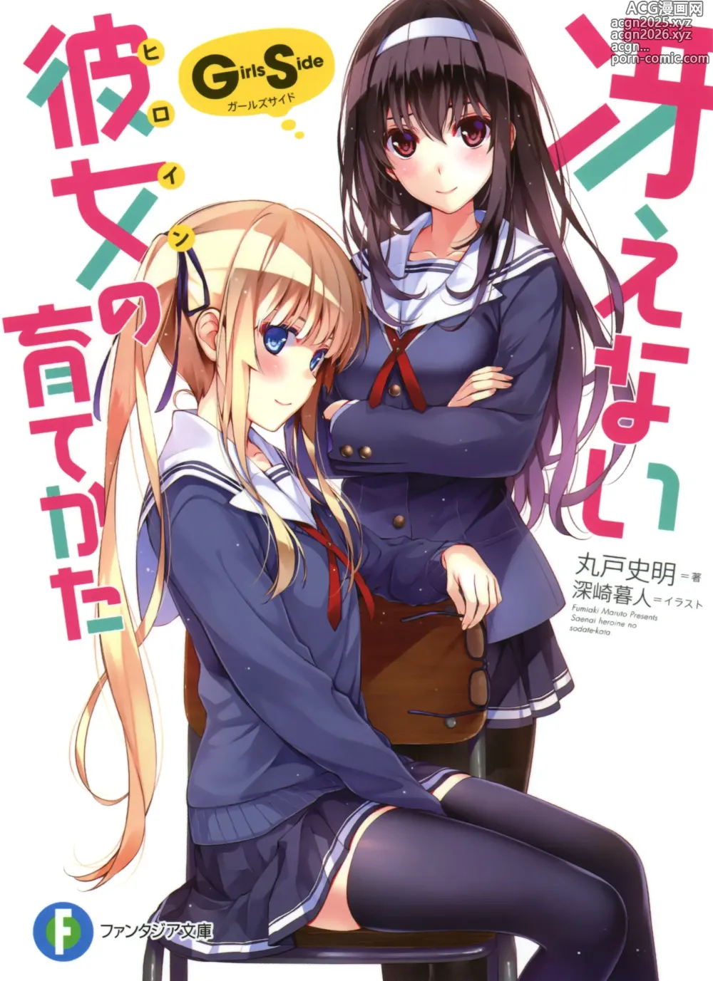 Page 45 of imageset saenai heroine no sodatekata