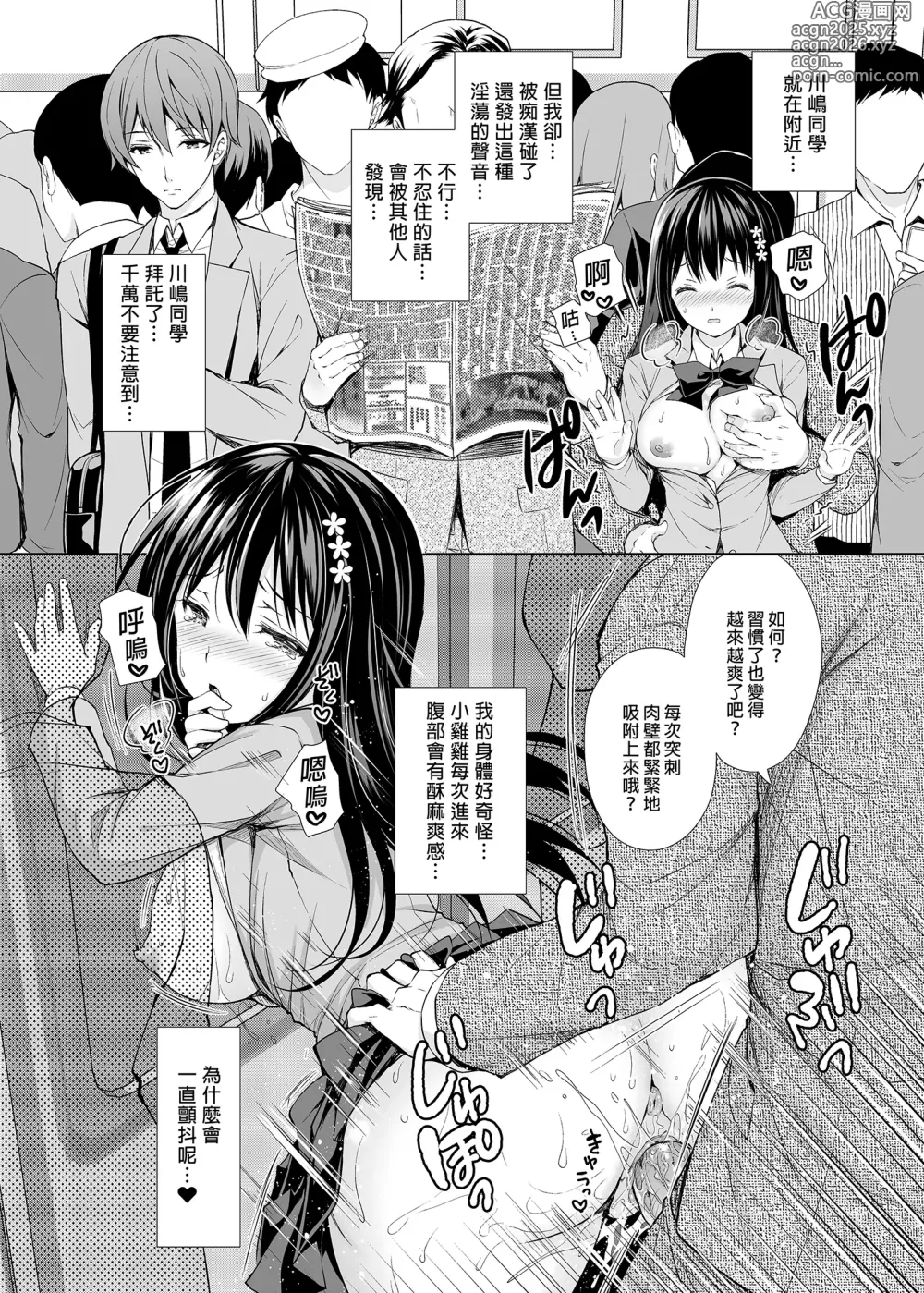 Page 15 of doujinshi 恥辱の痴漢電車総集編