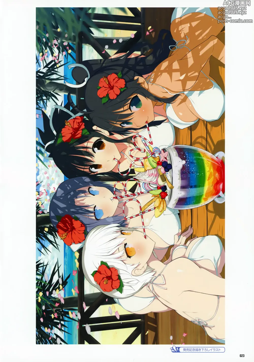 Page 25 of imageset SENRAN KAGURA Peach Beach Splash