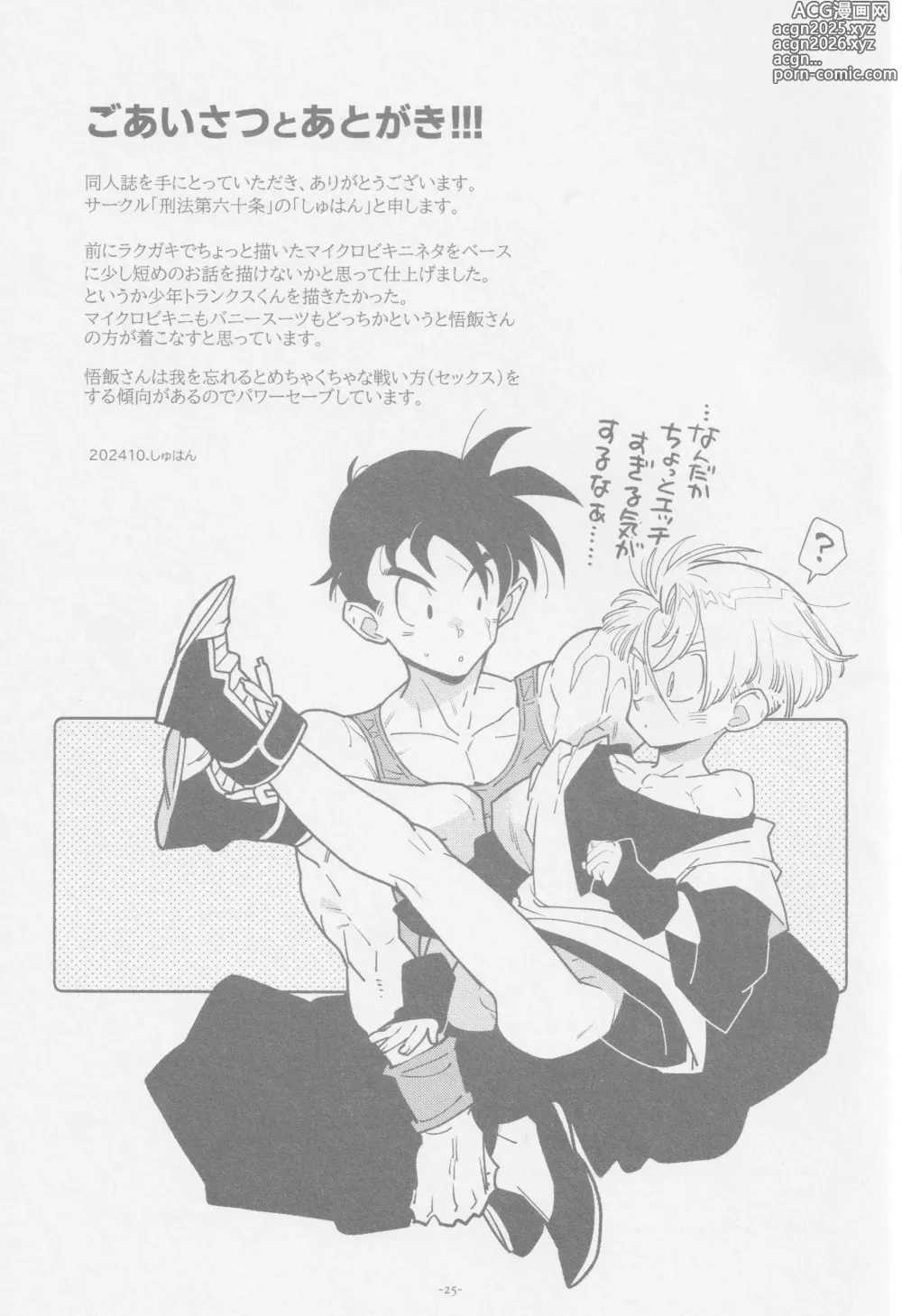 Page 24 of doujinshi Nee Gohan-san Micro Bikini Suki desu ka?