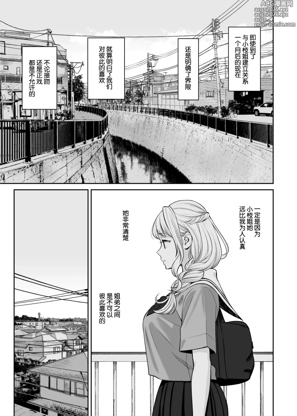 Page 20 of doujinshi Kyoudai Igai ni Nareta nara