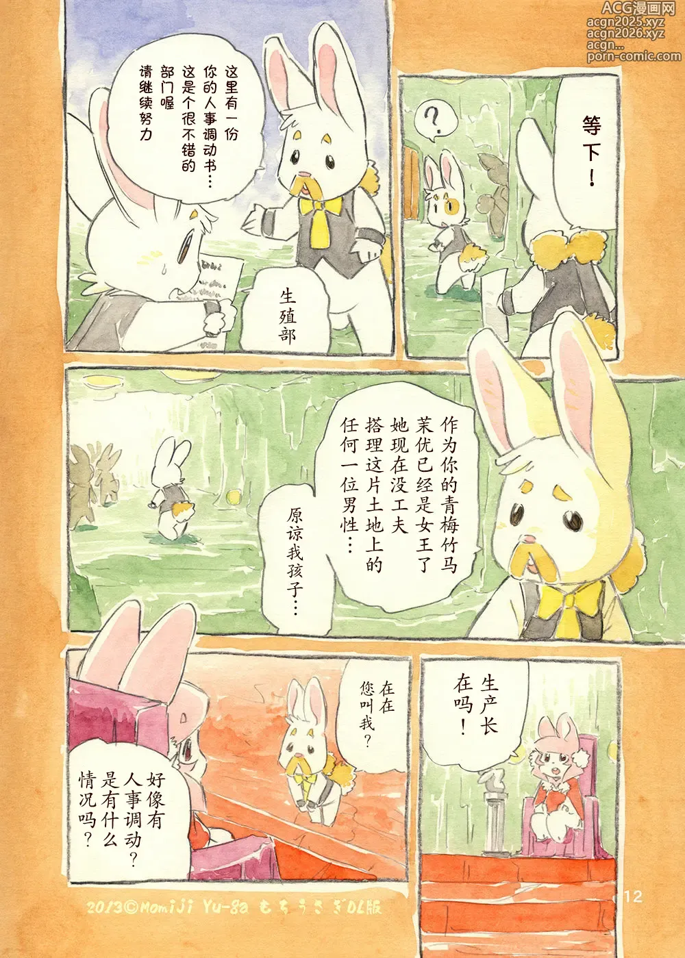 Page 12 of doujinshi 年糕兔兔 女王和我