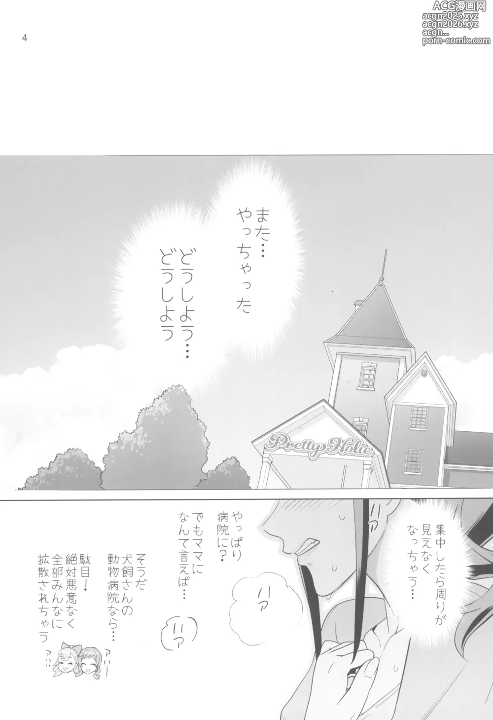 Page 4 of doujinshi Inazuma Doubutsuen