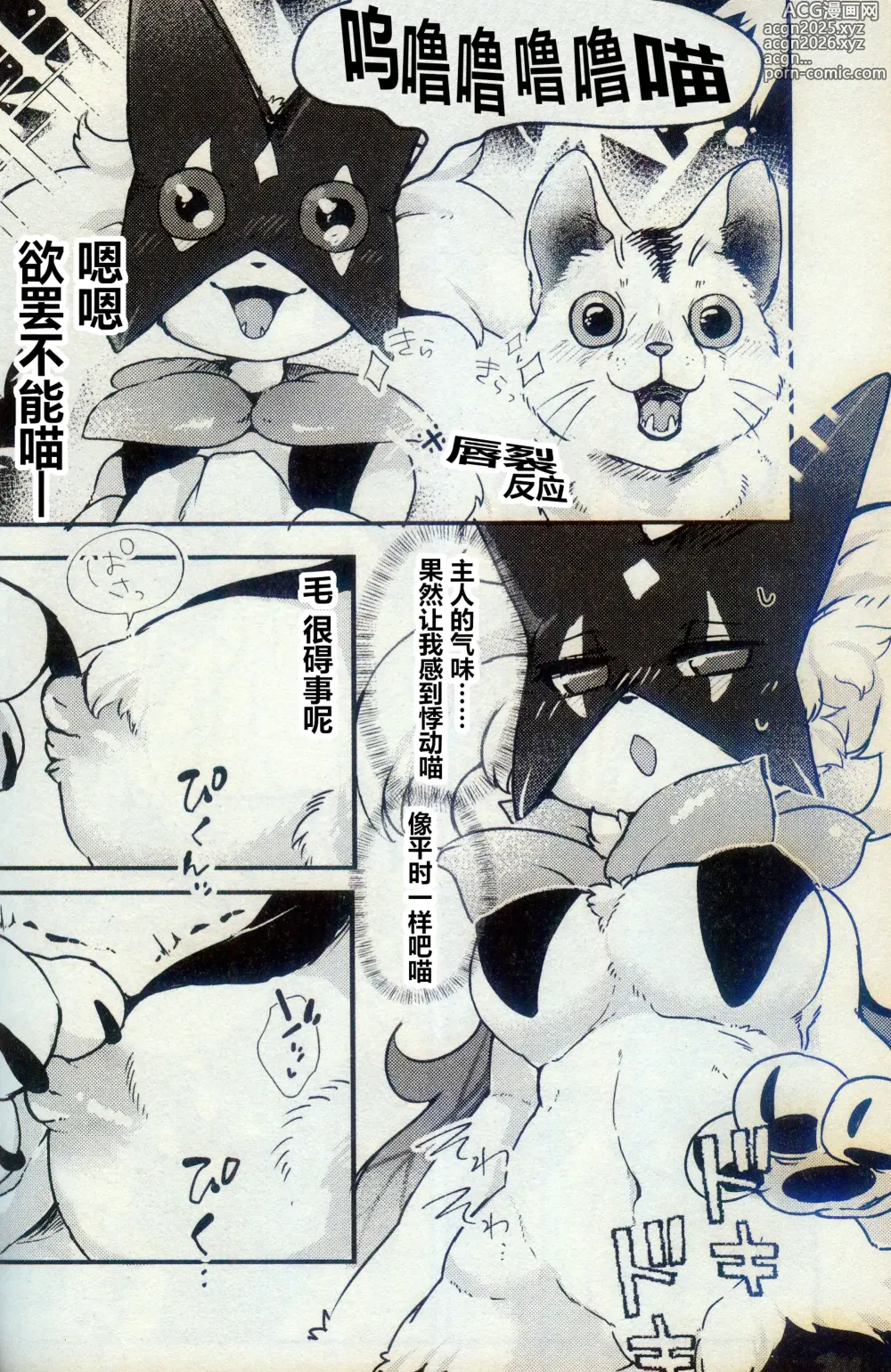 Page 6 of doujinshi 欸!? 我家的魔幻假面猫独自看家!? 不可能不做一些什么吧!!