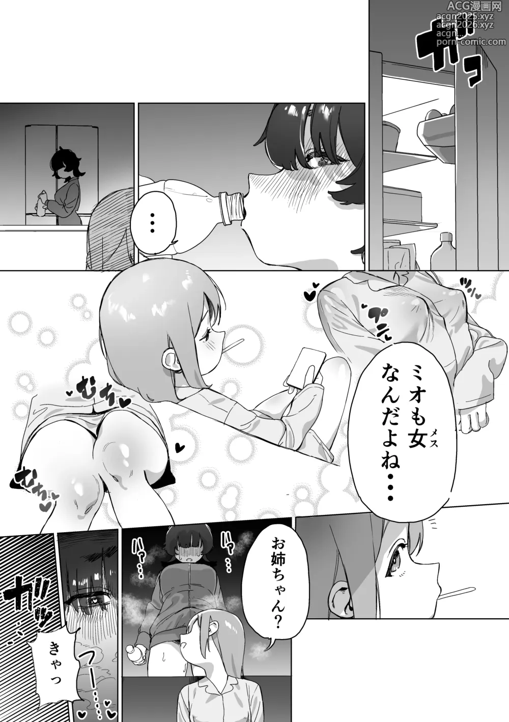 Page 22 of doujinshi Hikikomori no Ane ni Chinchin ga Haetara