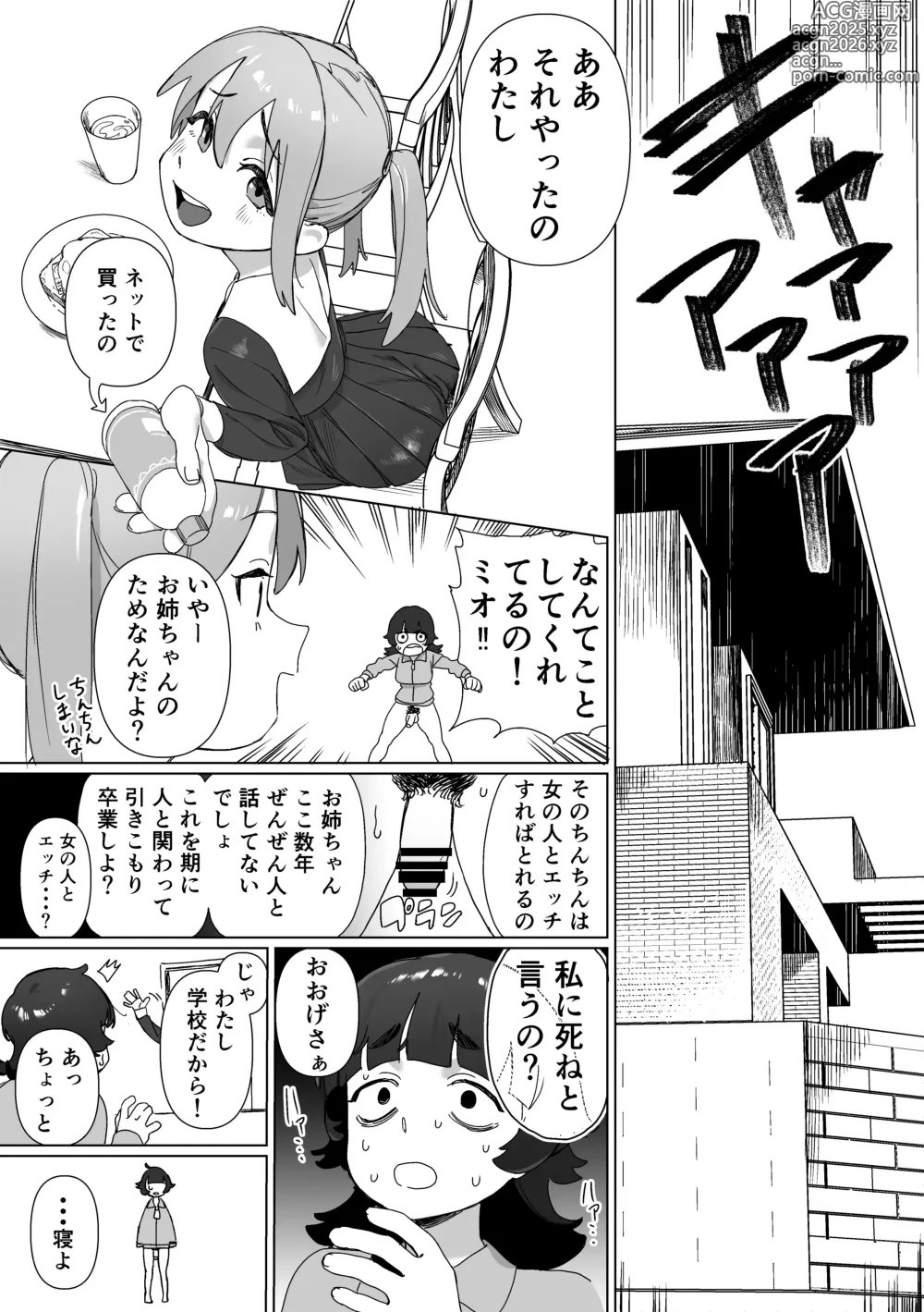 Page 4 of doujinshi Hikikomori no Ane ni Chinchin ga Haetara