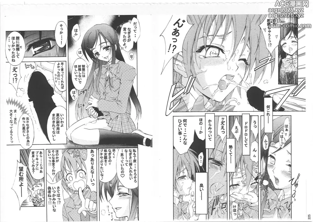 Page 224 of doujinshi KAISHAKU PC 20TH