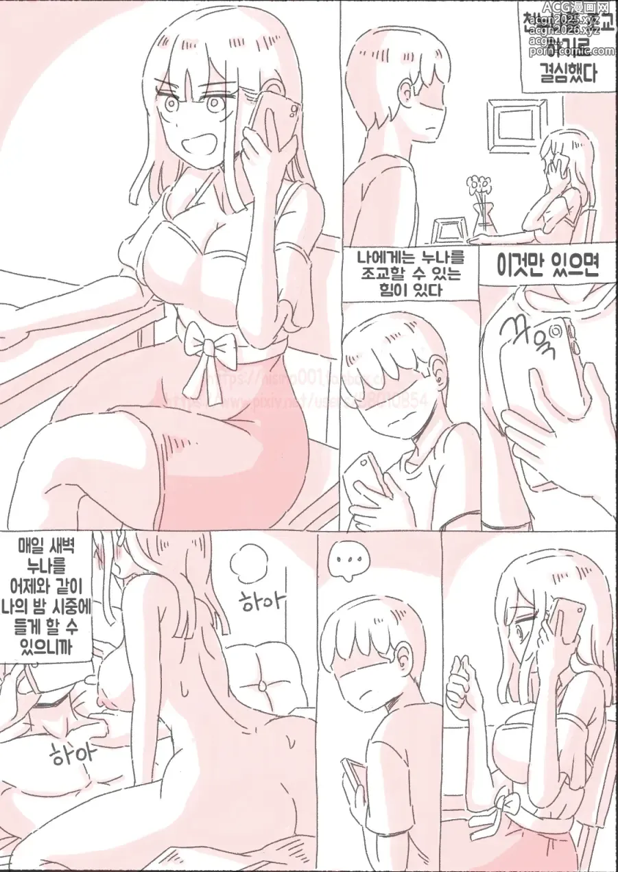 Page 13 of doujinshi 새벽 영상 찍는 누나