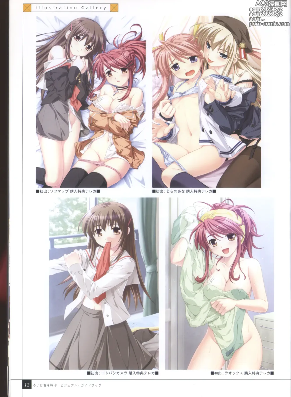 Page 20 of imageset Rui wa Tomo wo Yobu Visual Guidebook