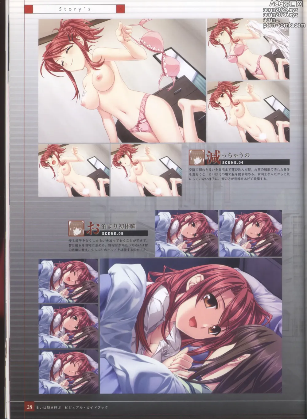 Page 36 of imageset Rui wa Tomo wo Yobu Visual Guidebook